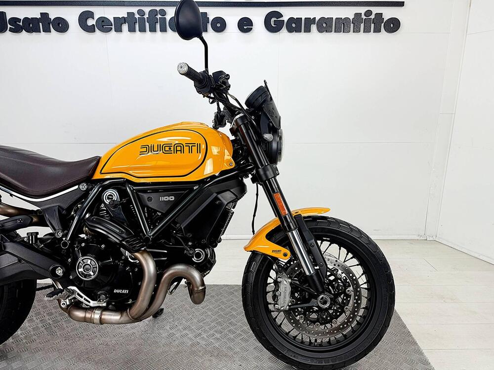 Ducati Scrambler 1100 Tribute Pro (2022 - 24) (10)