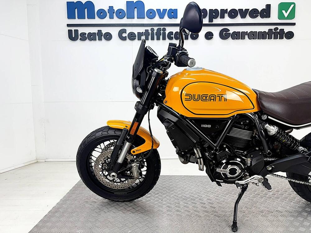 Ducati Scrambler 1100 Tribute Pro (2022 - 24) (15)