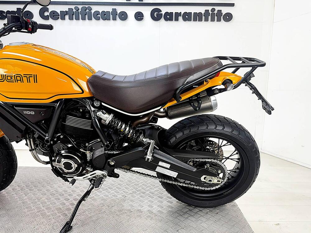 Ducati Scrambler 1100 Tribute Pro (2022 - 24) (17)
