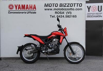 Betamotor Alp 4.0 (2024 - 25) usata