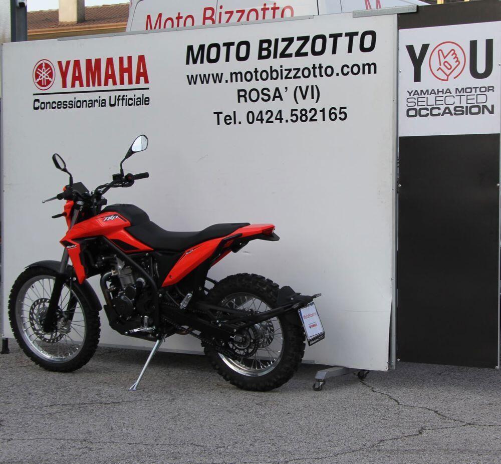 Betamotor Alp 4.0 (2024 - 25) (4)