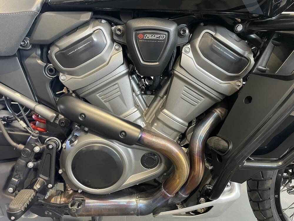 Harley-Davidson Pan America 1250 Special (2020 - 25) (10)