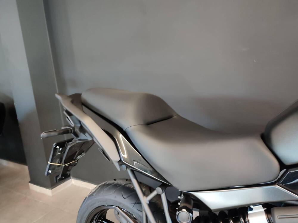 Kawasaki Versys 650 (2025 - 26) (7)