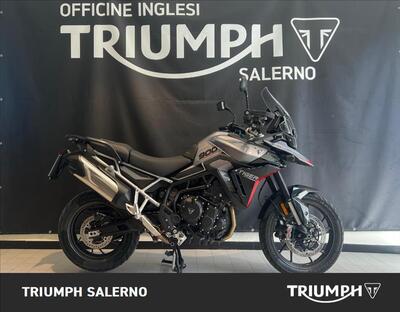 Triumph Tiger 900 GT Pro (2024 - 25) usata
