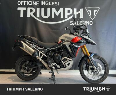 Triumph Tiger 900 Rally Pro (2024 - 26) usata