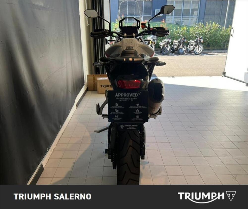 Triumph Tiger 900 Rally Pro (2024 - 26) (6)