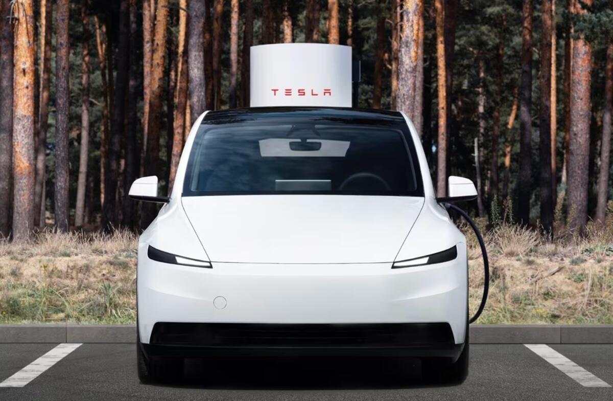 Tesla Model Y Standard: scende in campo e le ha tutte contro. Top e Flop