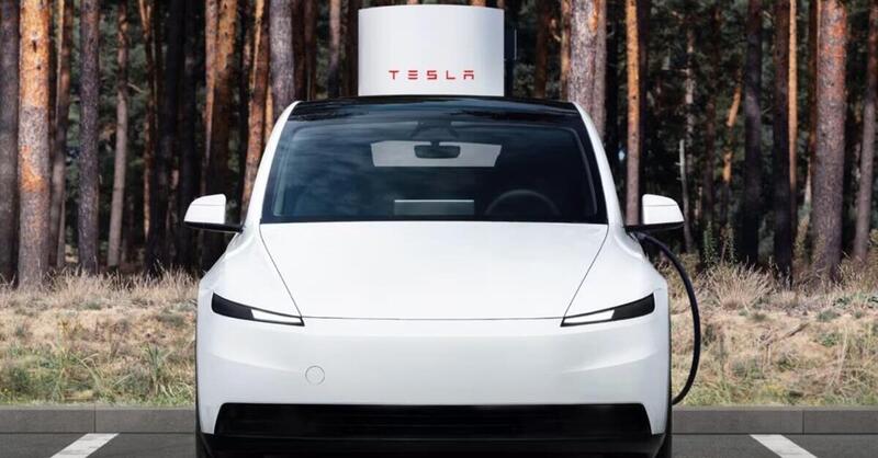 Tesla Model Y Standard: scende in campo e le ha tutte contro. Top e Flop