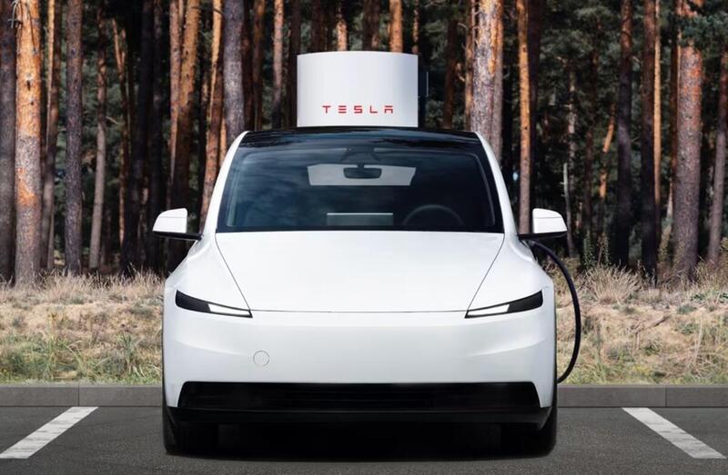 Tesla Model Y Standard: scende in campo e le ha tutte contro. Top e Flop