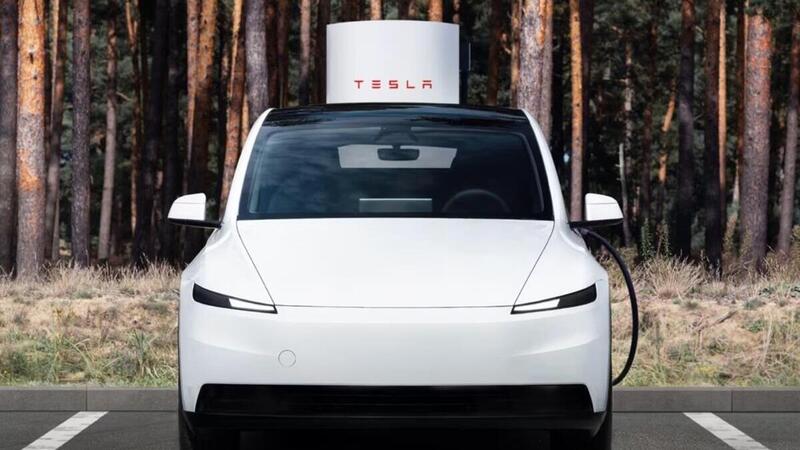 Tesla Model Y Standard: scende in campo e le ha tutte contro. Top e Flop