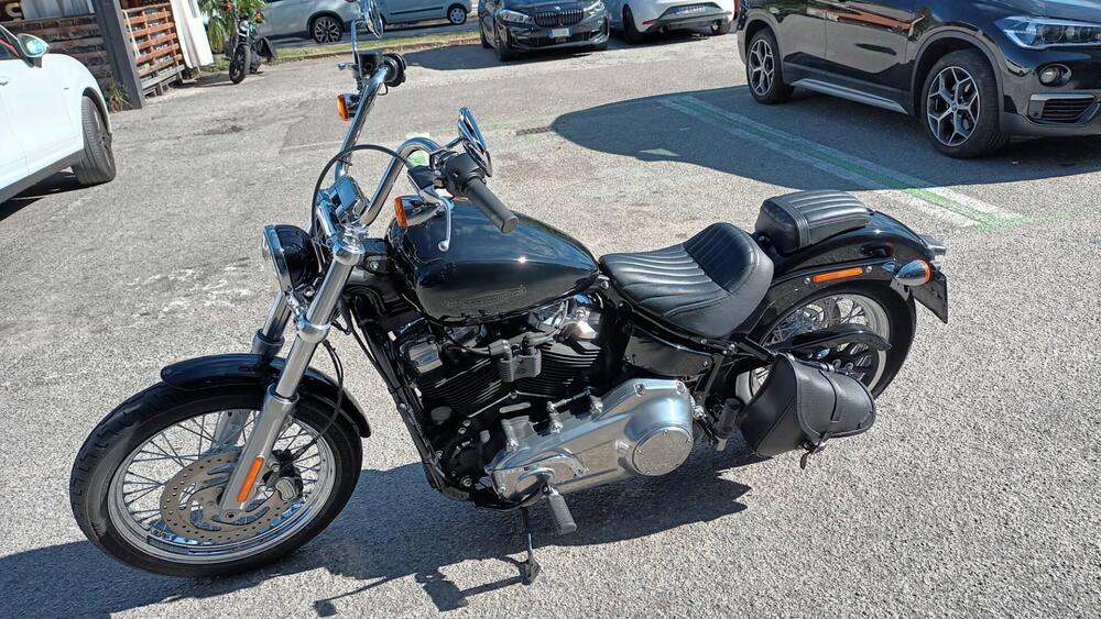 Harley-Davidson Softail Standard (2021 - 25) (2)