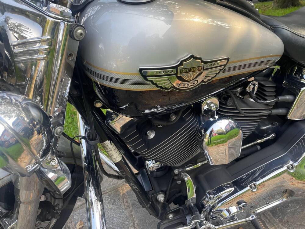 Harley-Davidson 1450 Heritage Classic (2003 - 05) - FLSTCI (4)