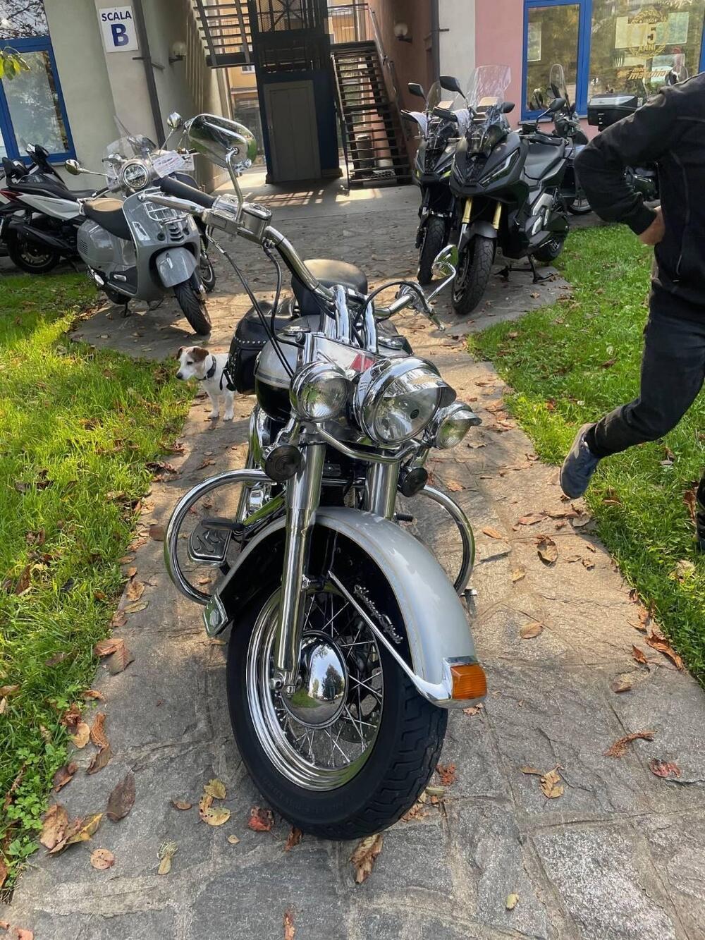 Harley-Davidson 1450 Heritage Classic (2003 - 05) - FLSTCI (5)