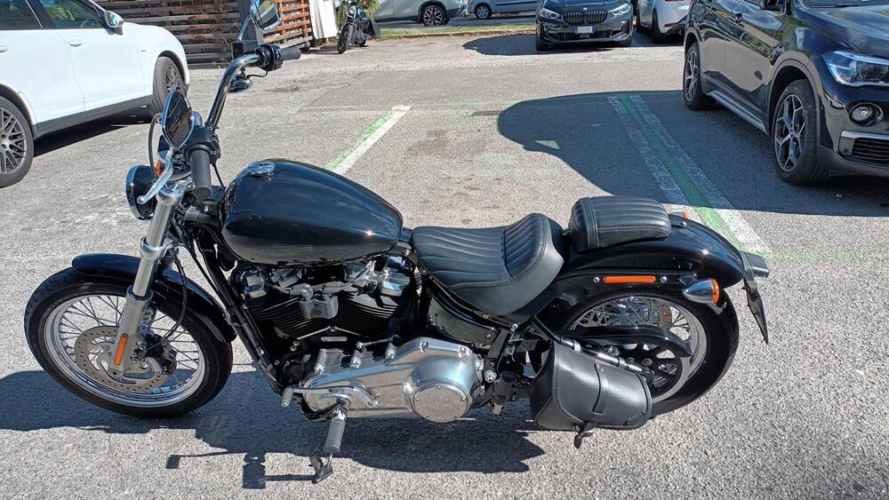 Harley-Davidson Softail Standard (2021 - 25) (3)
