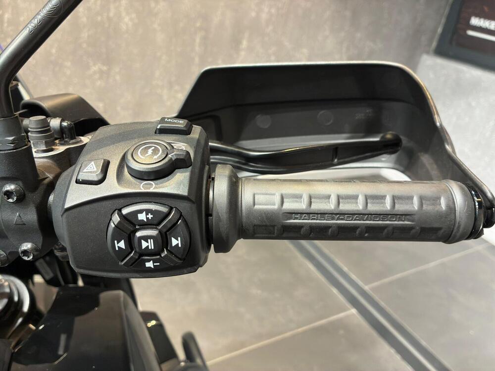 Harley-Davidson Pan America 1250 Special (2020 - 25) (8)