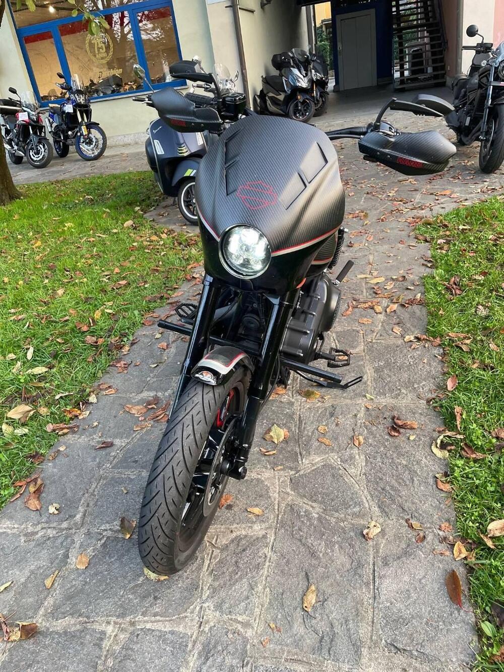 Harley-Davidson 1690 Low Rider (2014 - 17) - FXDL (4)