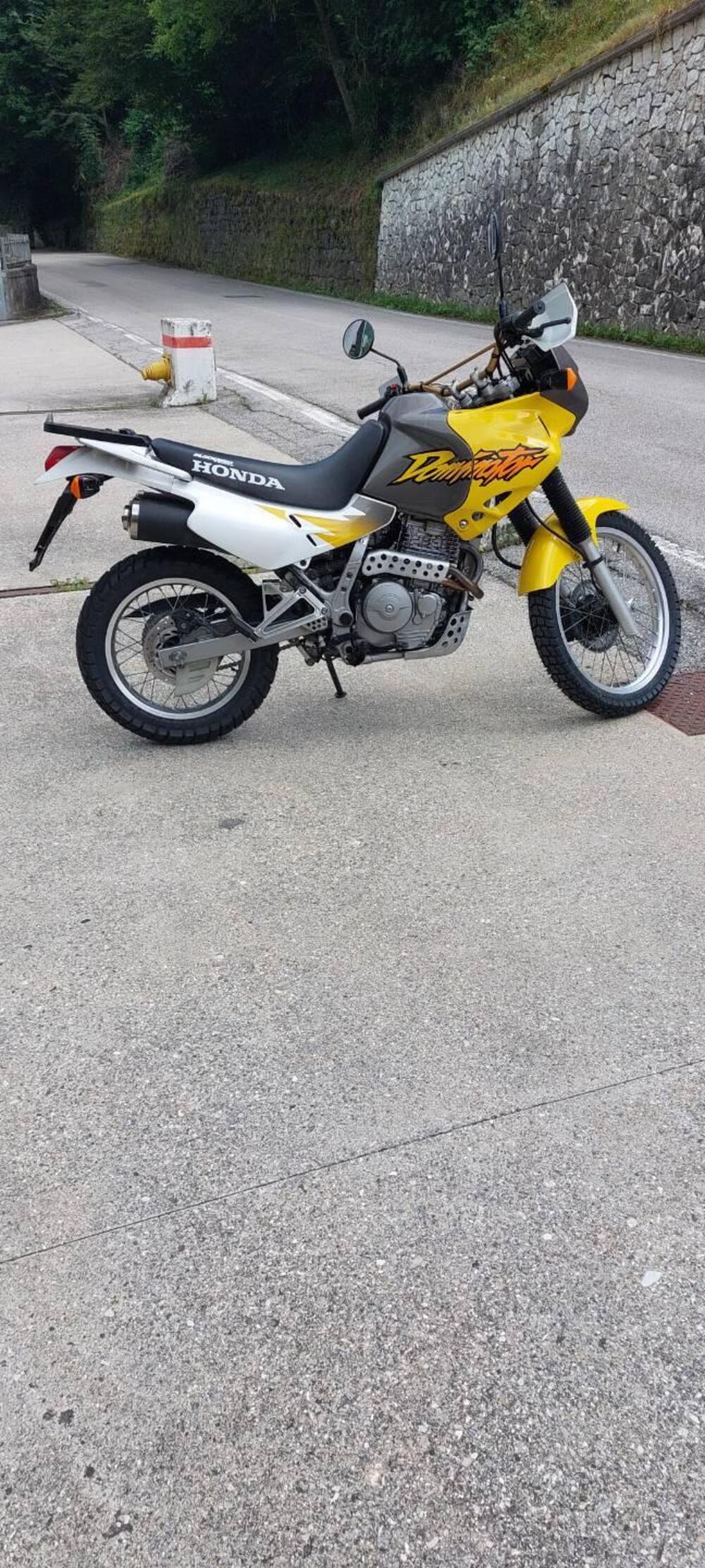 Honda NX 650 DOMINATOR (3)