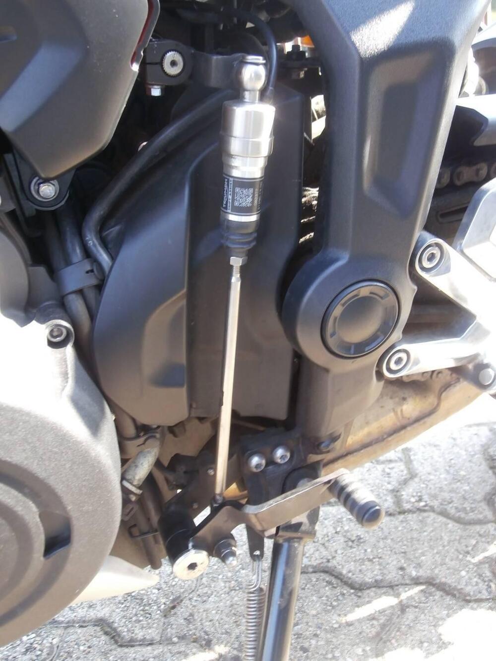 Triumph Trident 660 (2021 - 24) (16)