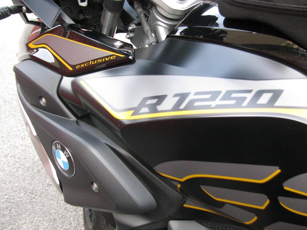 Bmw R 1250 GS (2019 - 20) (7)