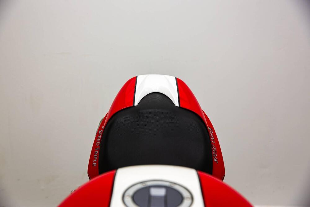 Triumph Speed Triple 1050 SE 15th Anniversary (2009 -10) (17)