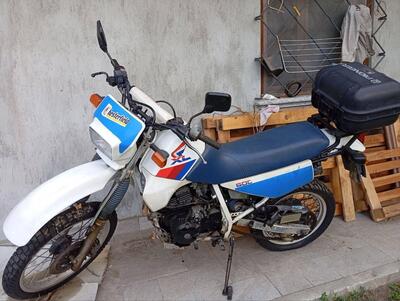 Honda XL 600 R (1983 - 86) usata