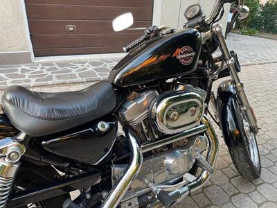 Harley-Davidson 883 Standard (2001 - 05) - XL 883 usata