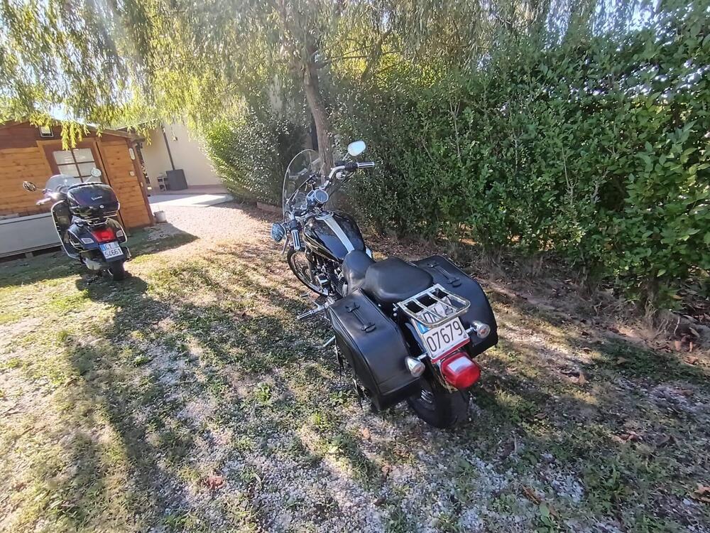 Harley-Davidson 1200 Custom (2007 - 13) - XL 1200C (4)