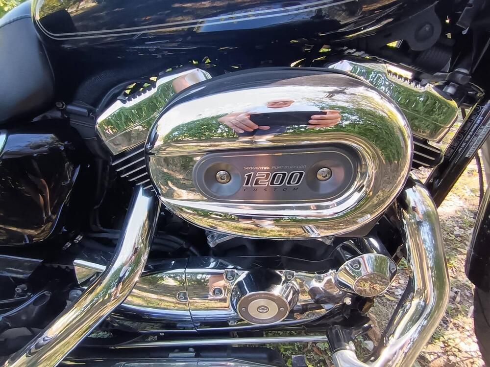 Harley-Davidson 1200 Custom (2007 - 13) - XL 1200C (6)