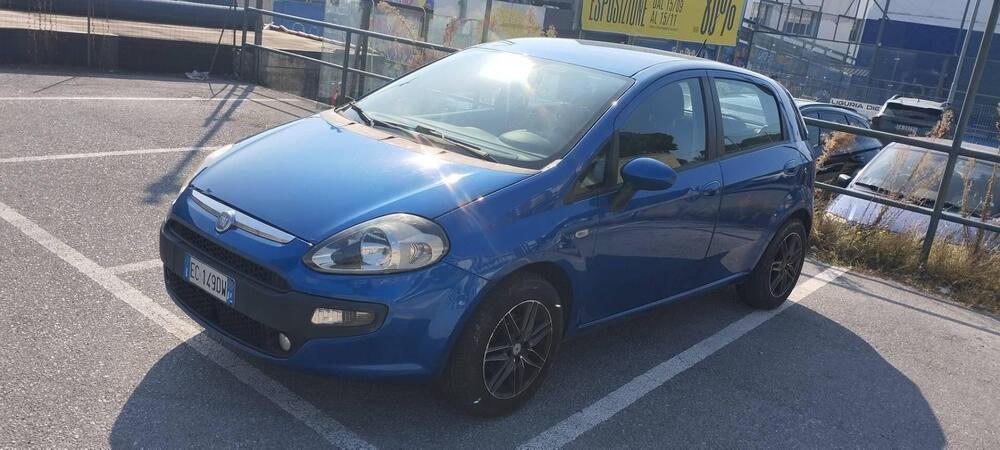 Fiat Punto Evo usata a Savona (2)