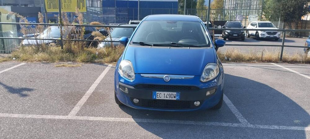 Fiat Punto Evo usata a Savona (6)
