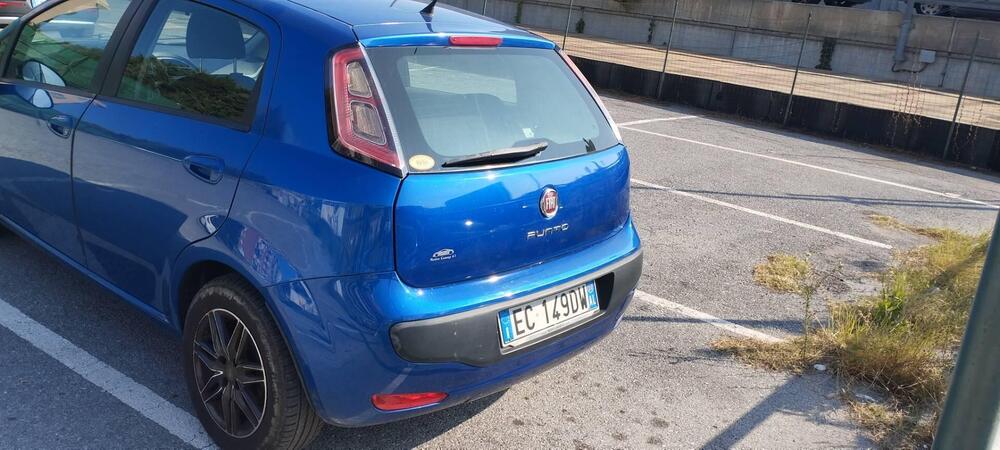 Fiat Punto Evo usata a Savona (13)