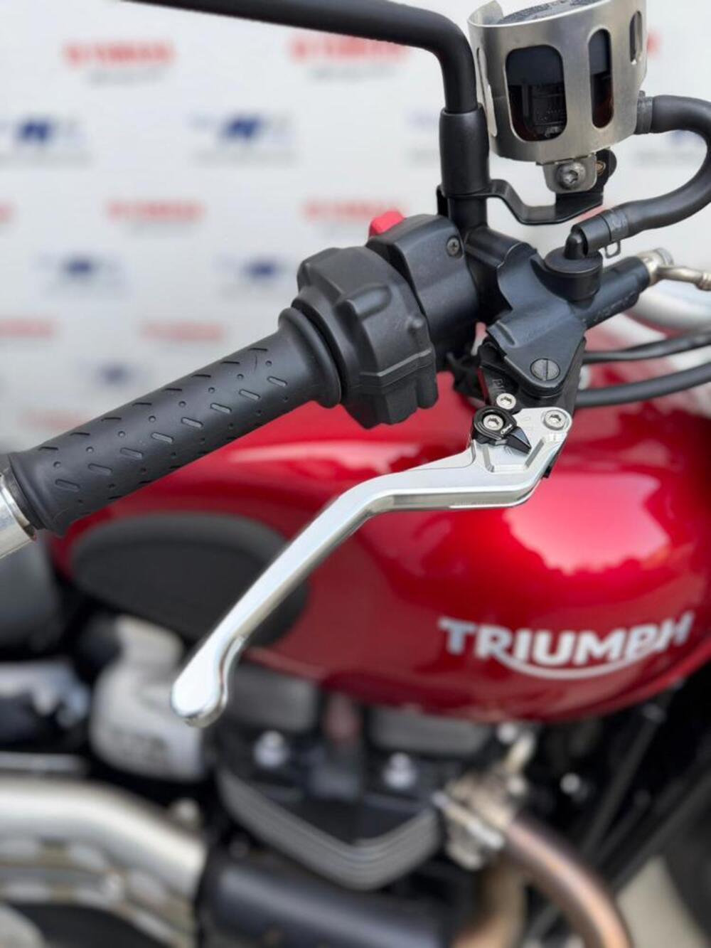 Triumph Street Scrambler 900 (2021 - 22) (6)