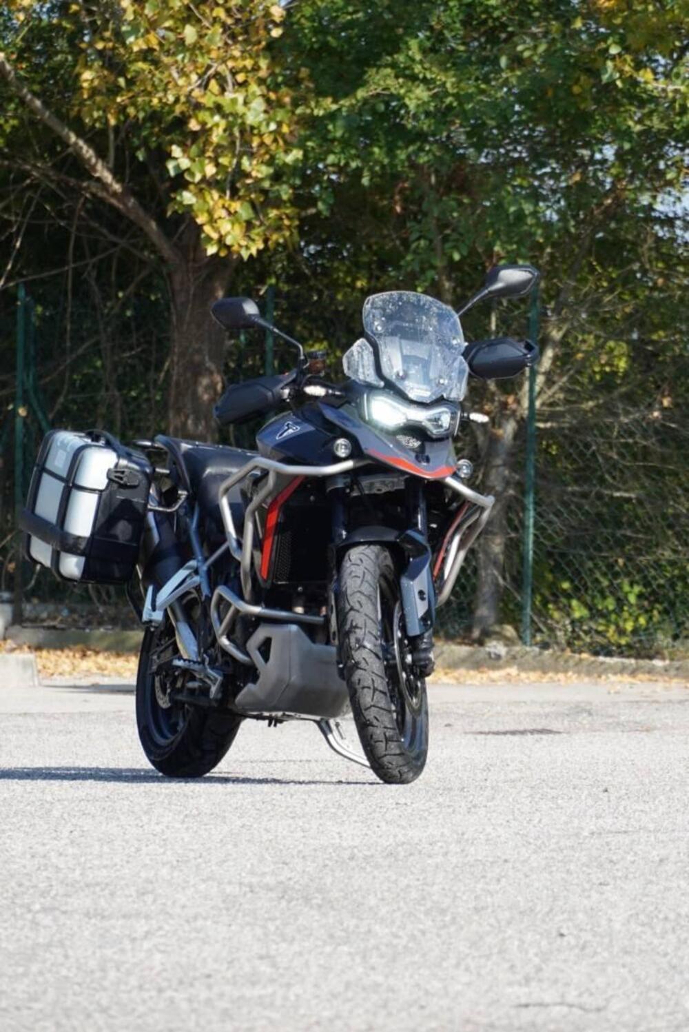 Triumph Tiger 900 GT Pro (2024 - 25) (7)
