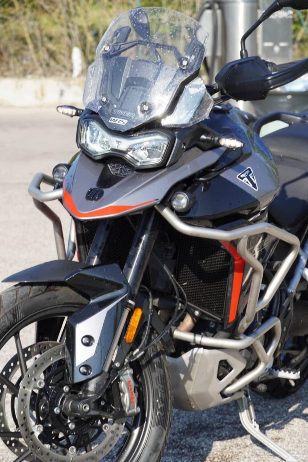 Triumph Tiger 900 GT Pro (2024 - 25) (8)