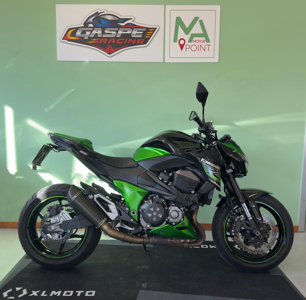 Kawasaki Z 800 Performance (2013 - 13)