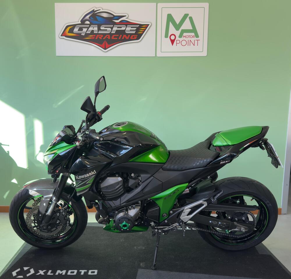 Kawasaki Z 800 Performance (2013 - 13) (2)