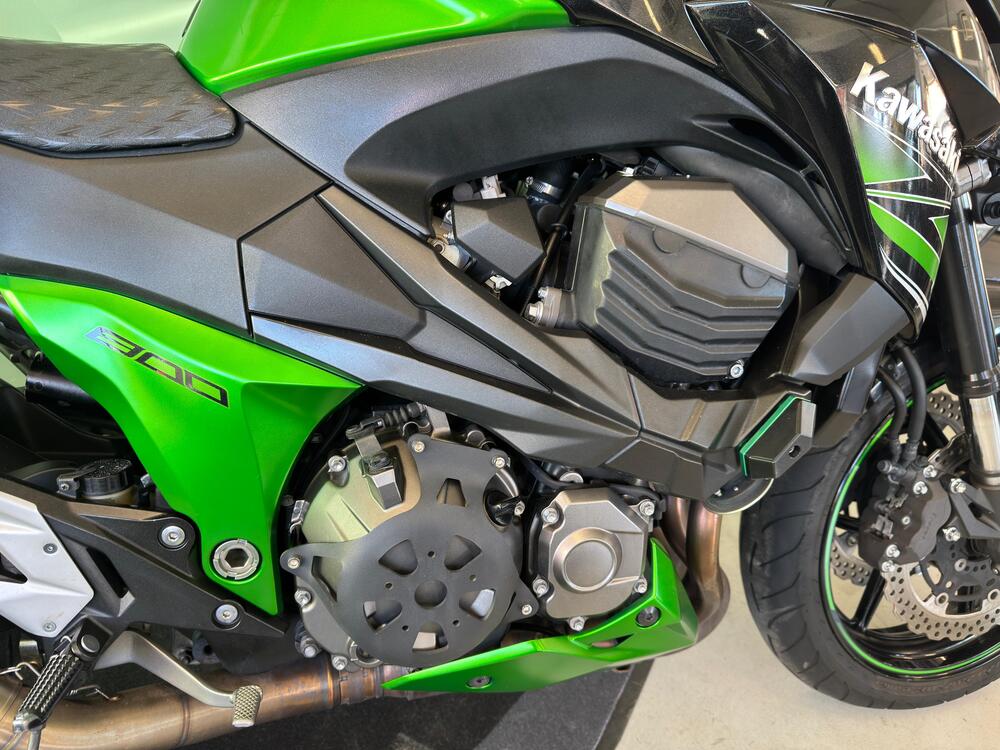 Kawasaki Z 800 Performance (2013 - 13) (8)