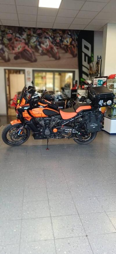Harley-Davidson Pan America 1250 (2020 - 25) usata