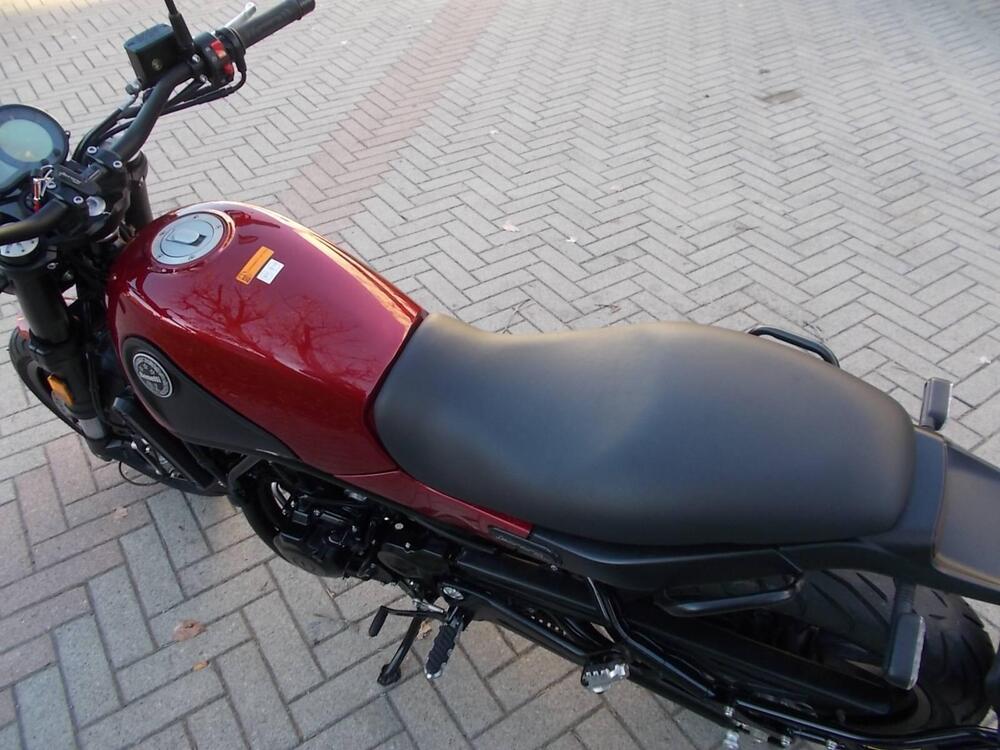 Benelli Leoncino 500 ABS (2017 - 20) (4)