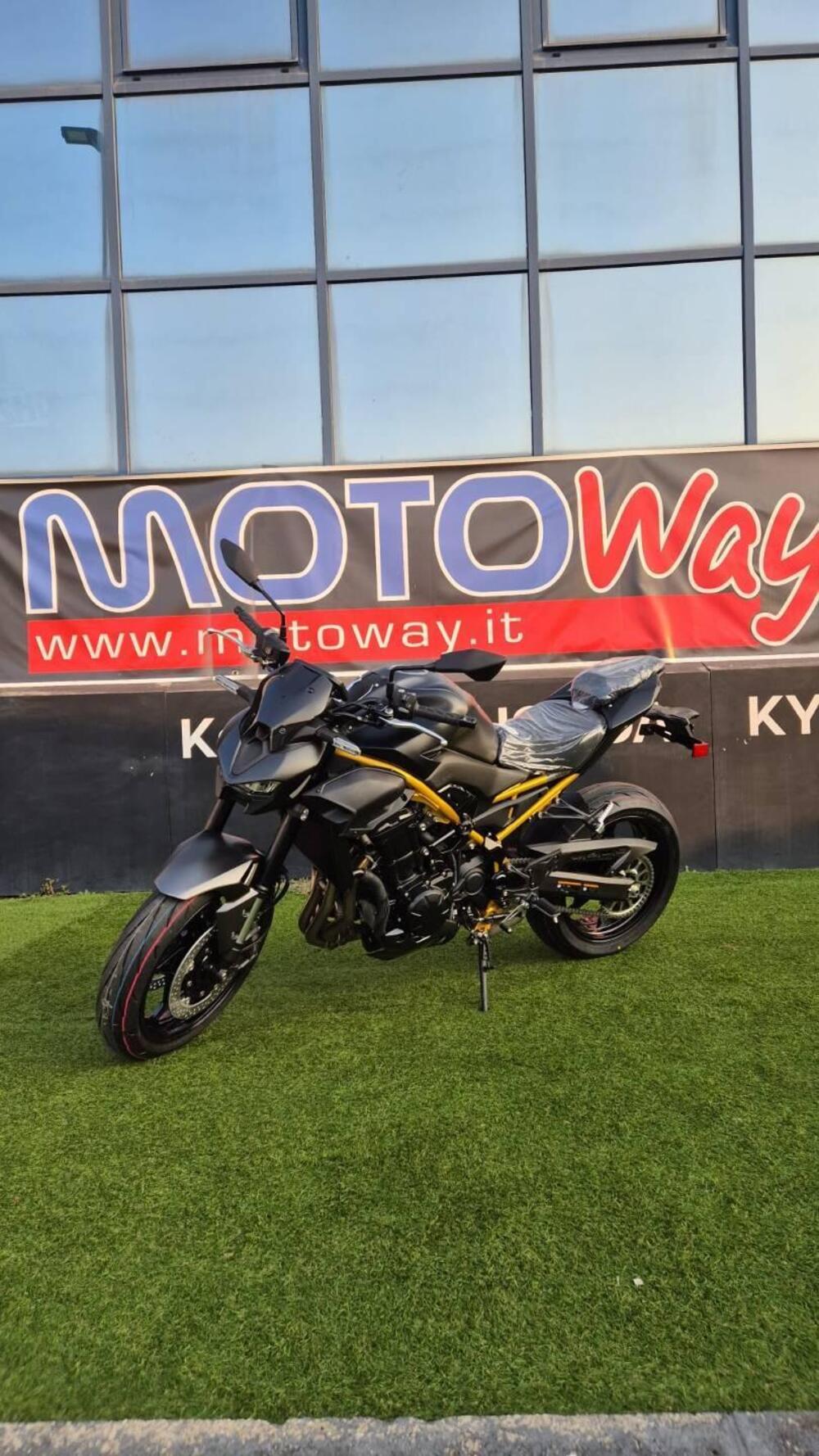 Kawasaki Z 900 (2025 - 26)