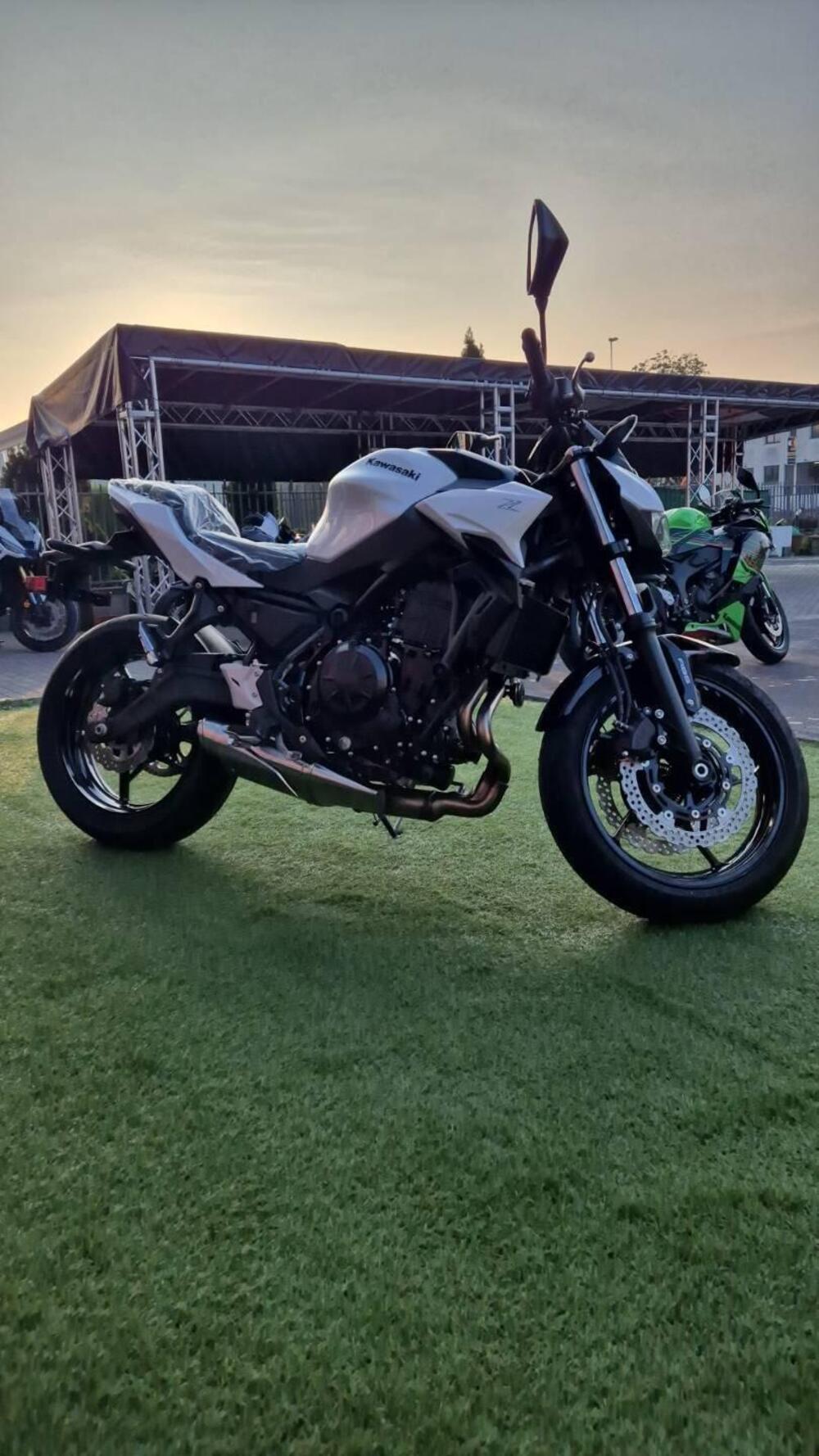 Kawasaki Z 650 (2025 - 26) (3)