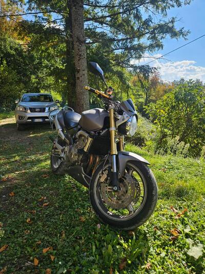 Honda Hornet 600 (2005 - 06) usata