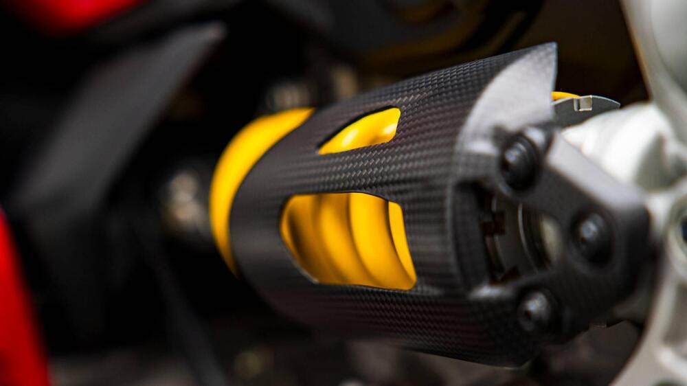 Ducati 959 Panigale (2016 - 19) (13)