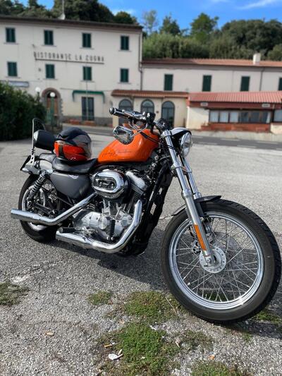 Harley-Davidson 883 (2006 - 07) - XL usata