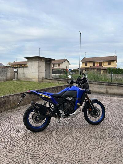 Yamaha T&eacute;n&eacute;r&eacute; 700 World Raid (2022 - 25) usata