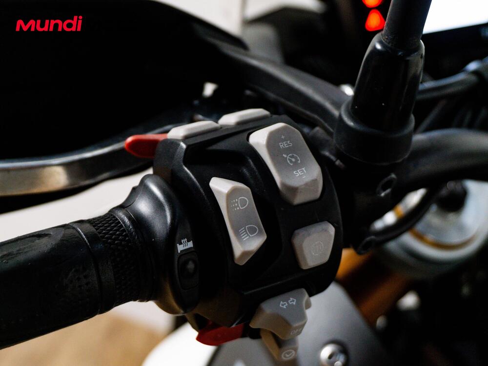 Triumph Tiger 900 Rally Pro (2020 - 23) (13)