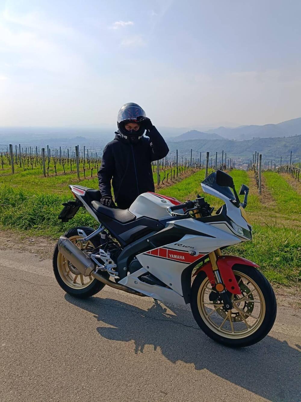 Yamaha YZF R125 (2023 - 26) (5)