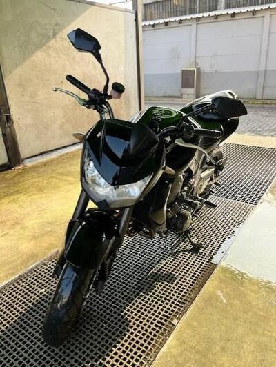 Kawasaki Z 750 (2007 - 14) usata