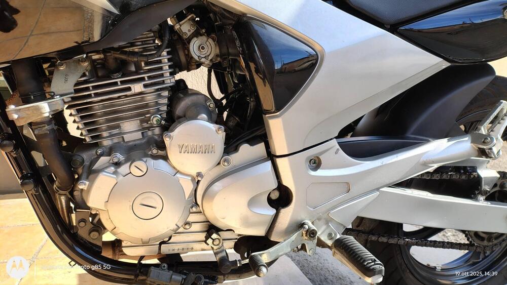 Yamaha YBR 250 (2006 - 13) (5)