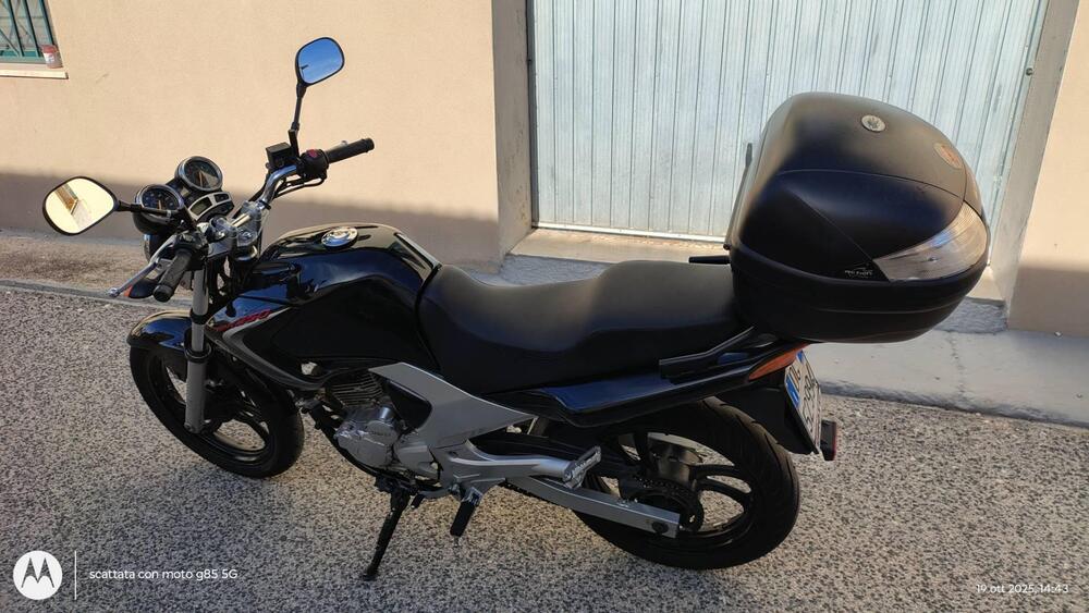 Yamaha YBR 250 (2006 - 13) (9)